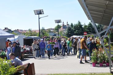 Za nami Targi Rolno-Ogrodnicze w Sulmierzycach